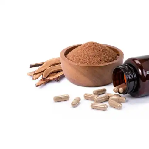 Is ganoderma an antibiotic?